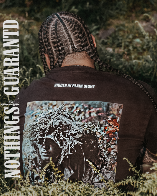 HIDDEN IN PLAIN SIGHT TEE
